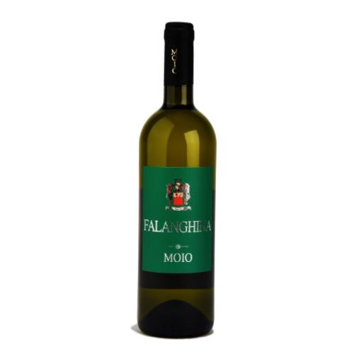 Moio Falanghina